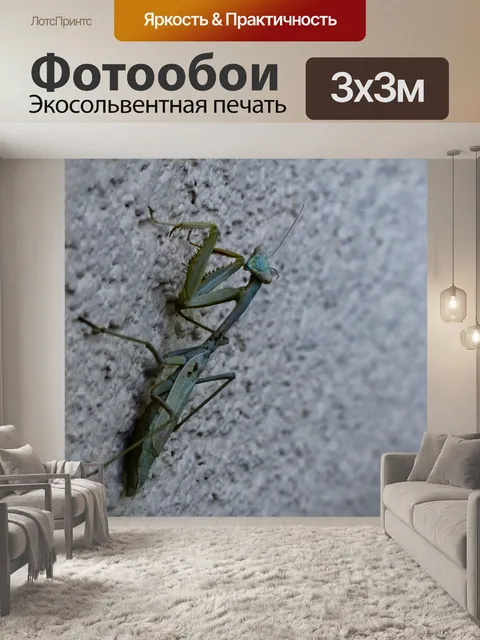 Фотообои Богомол Крупным планом