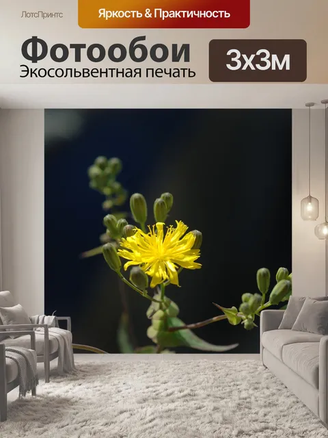 Фотообои Черный магнит автомобиля работает рядом