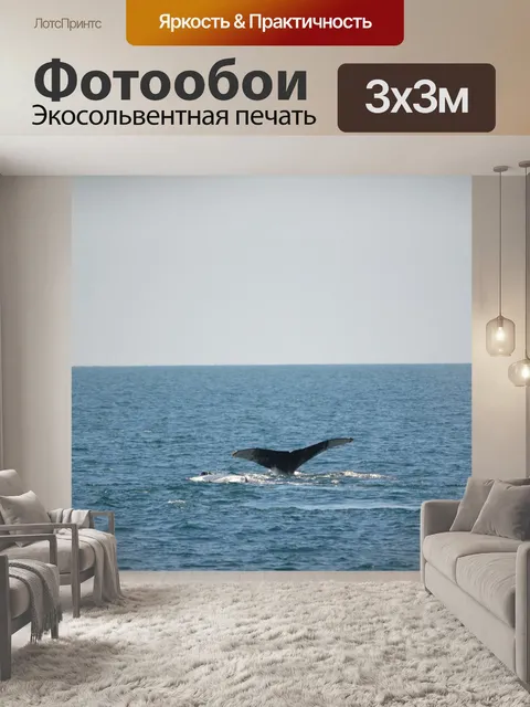 Фотообои Кит