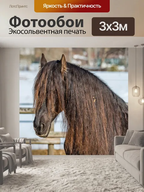 Фотообои Лошадь