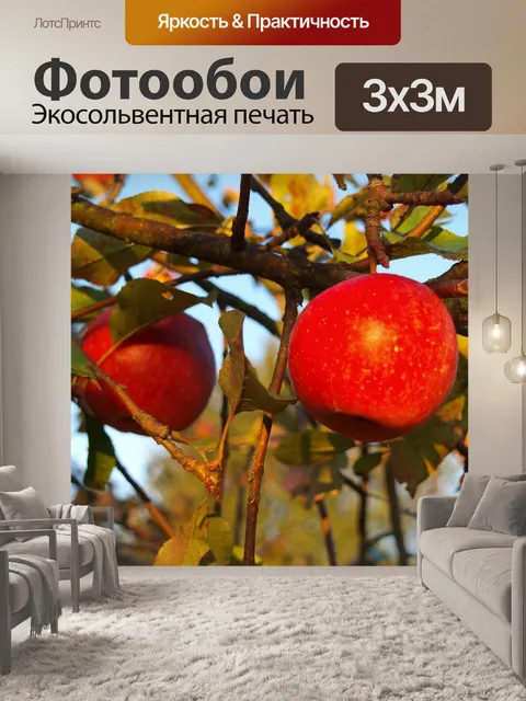 Фотообои Осень