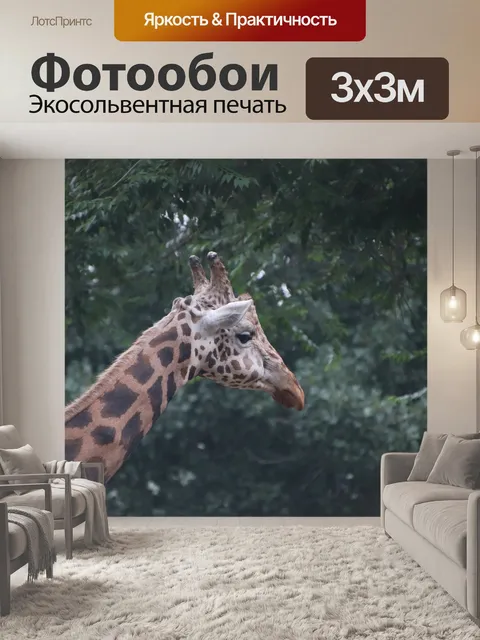 Фотообои Жирафа