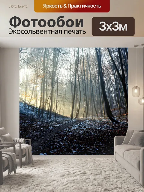 Фотообои Осень в лесу