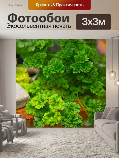 Фотообои Петрушка завод