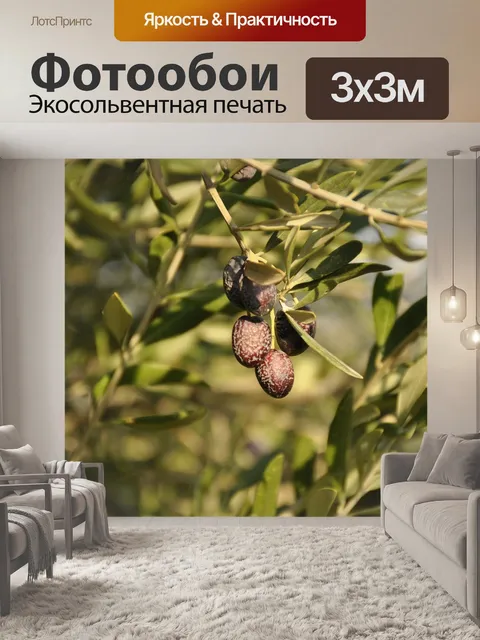 Фотообои Оливки