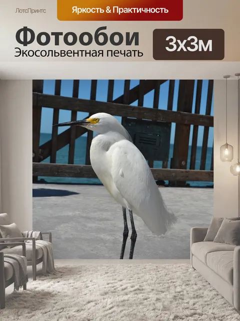 Фотообои Птица