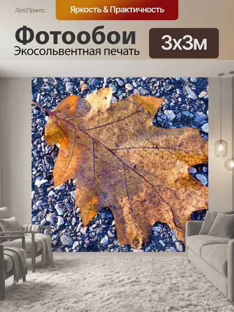 Фотообои Упавший дубовый лист