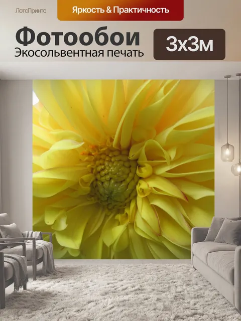 Фотообои желтые георгины