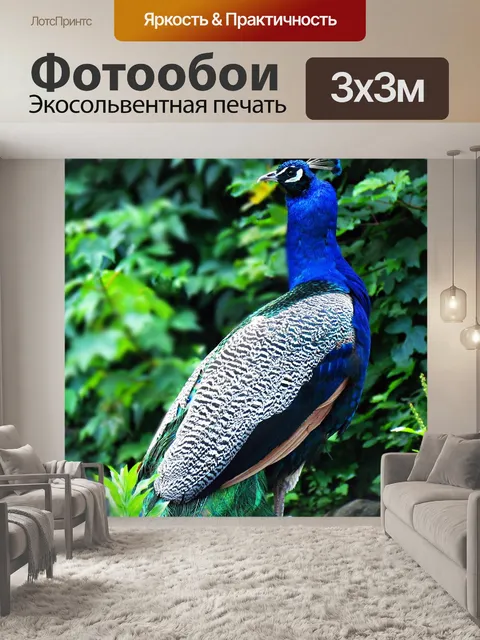 Фотообои Птица