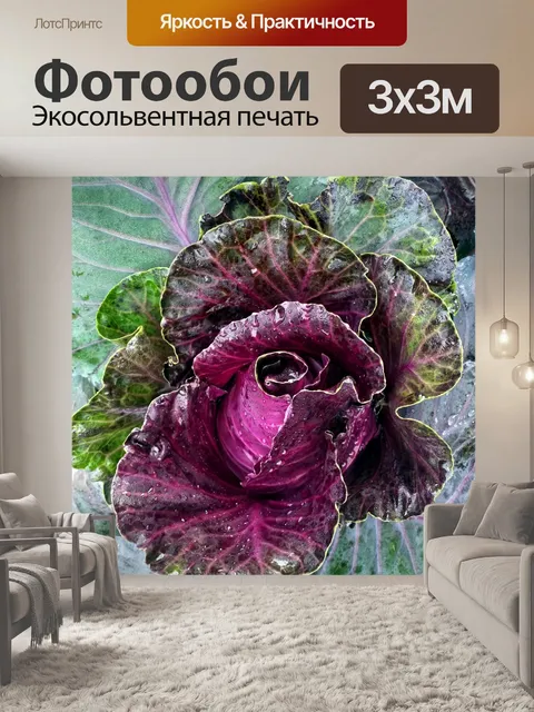 Фотообои Огород с красной капустой
