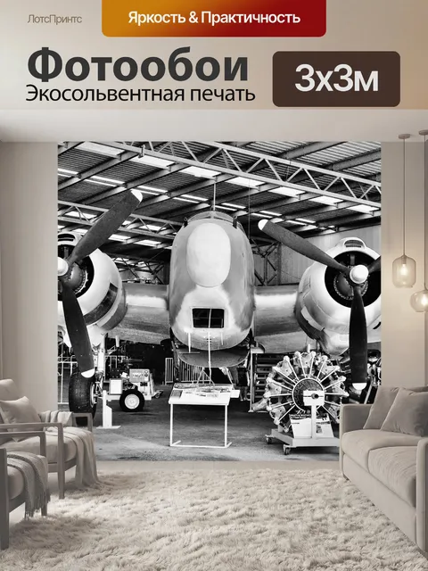 Фотообои Бомбардировщик