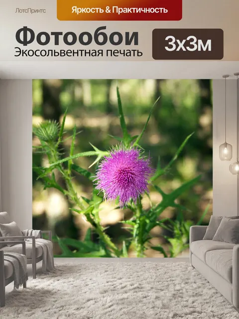 Фотообои Розовый цветок Тисл