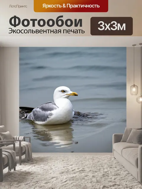 Фотообои чайка, купающаяся в водах прибрежного залива