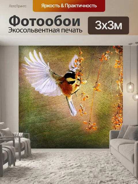 Фотообои Птица