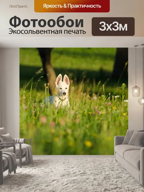 Фотообои Собака щенок на цветочном лугу