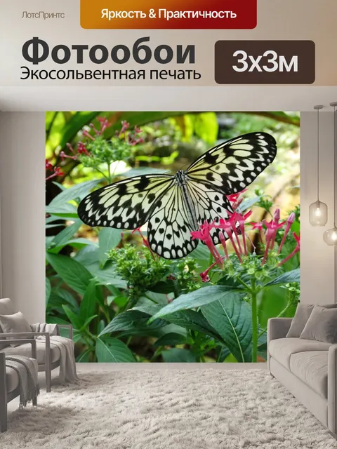 Фотообои Бабочка