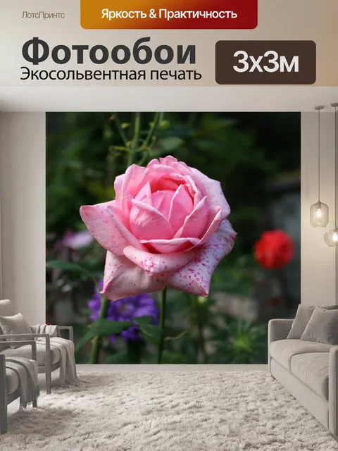 Фотообои Розы