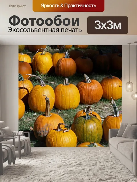 Фотообои Тыквы на продажу