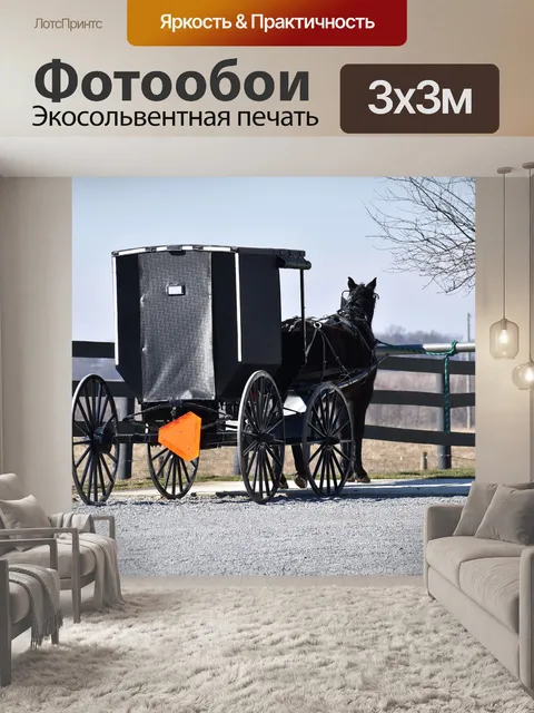 Фотообои Амиш