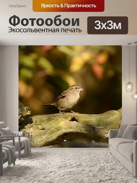 Фотообои Воробей