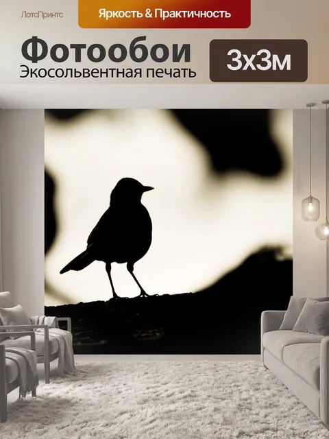 Фотообои Огненный пузатые Молочница