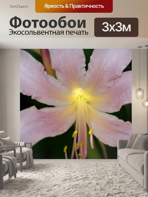 Фотообои Август Лили