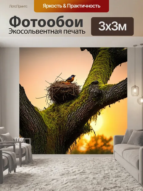 Фотообои ветка старого дуба, устланная мхом, с несколькими птичье гнездом, высоко на фоне заката