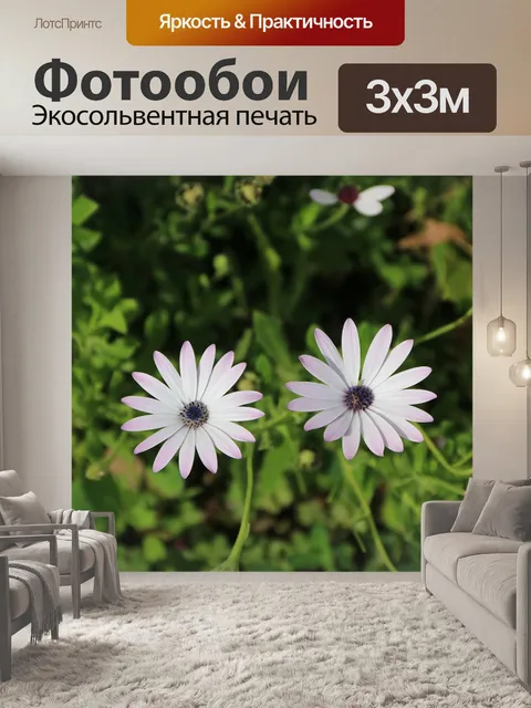 Фотообои Розовый