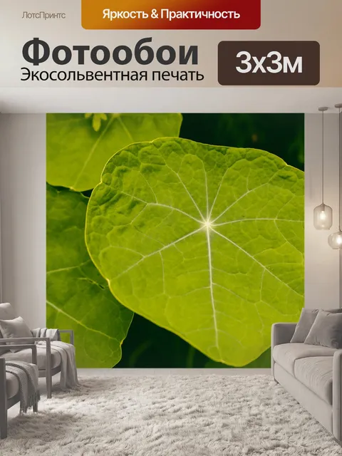 Фотообои Листья