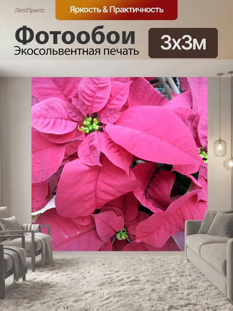 Фотообои красный отпуск цветок