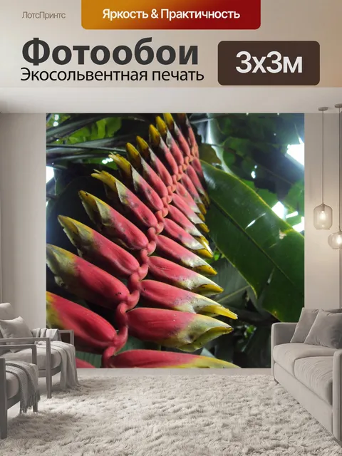 Фотообои красные дикий цветок