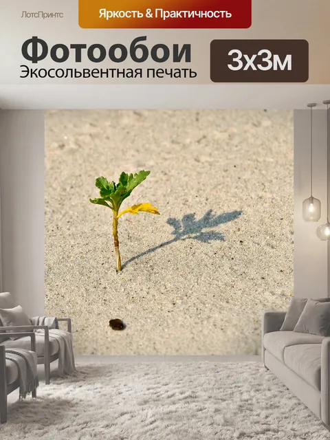 Фотообои Росток