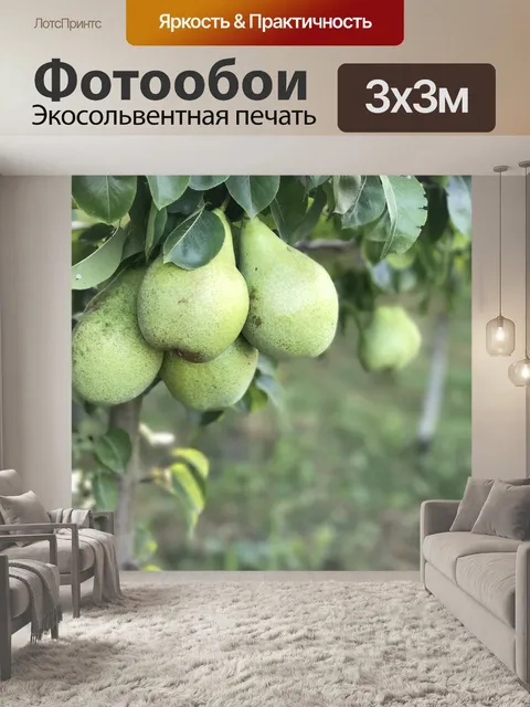 Фотообои Груши