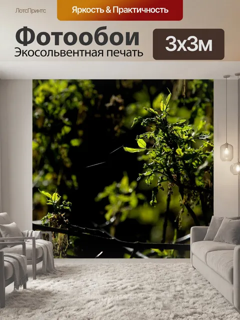Фотообои Фон