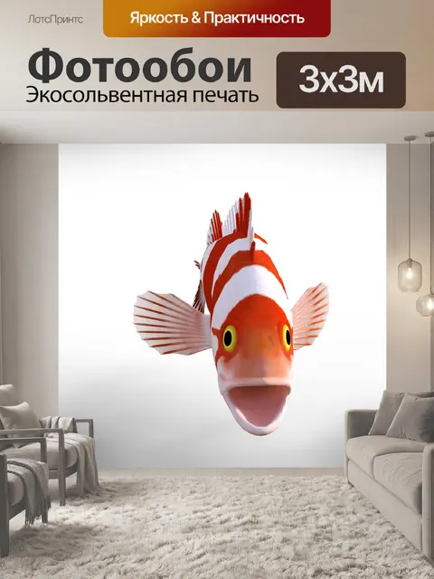 Фотообои Морской окунь