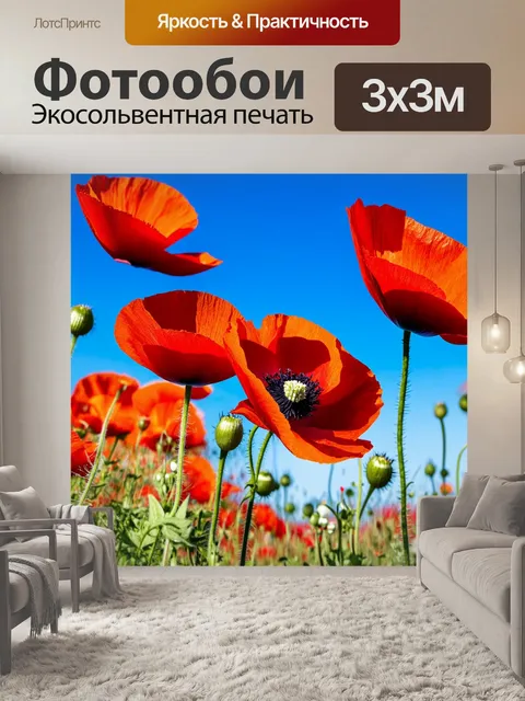 Фотообои красные маки с ярким голубым небом на фоне