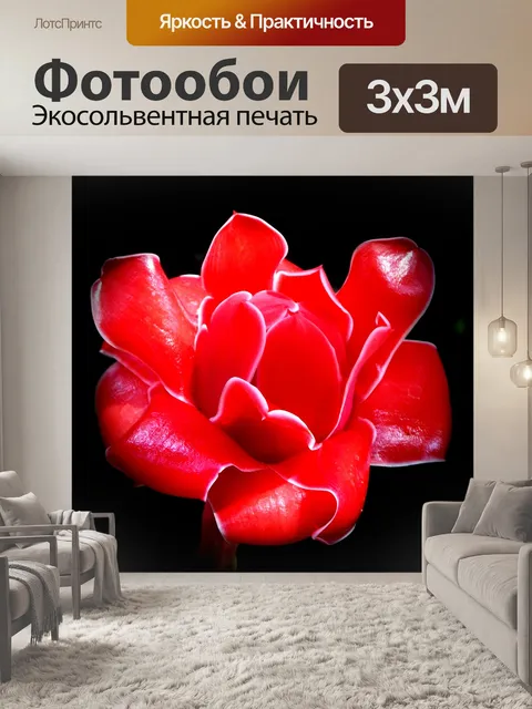 Фотообои Красный цветок Тропический