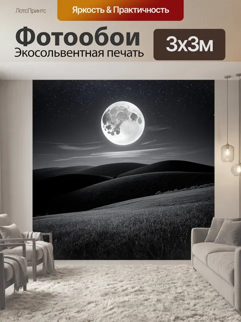 Фотообои пейзаж в стиле черно-белый, бескрайние холмы под звёздным небом с яркой луной