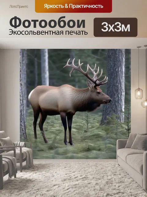 Фотообои в лесу