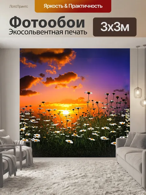 Фотообои описание: вечерний закат на фоне ромашкового поля