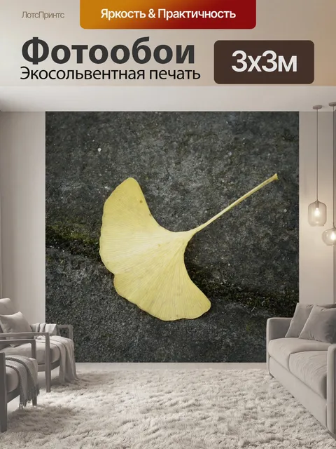 Фотообои Гинкго