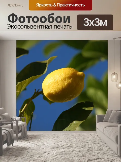 Фотообои Лимон
