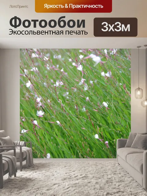 Фотообои Группа небольших полевых цветов