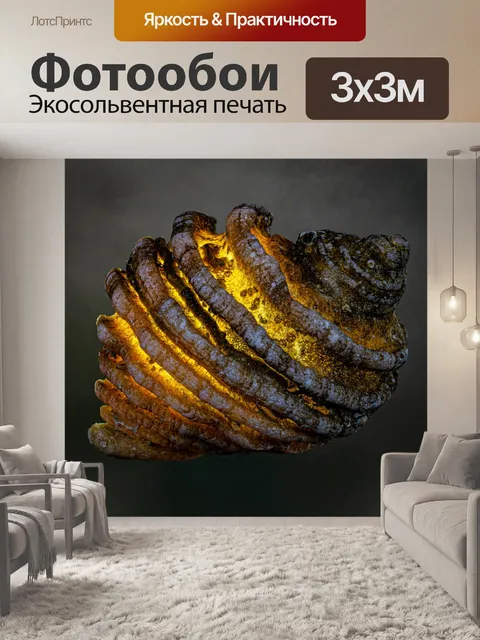 Фотообои Оболочка