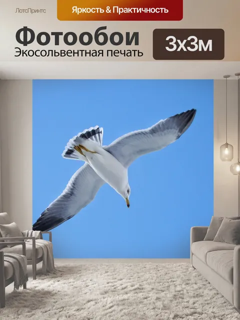 Фотообои Животное
