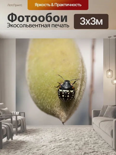 Фотообои Ошибка