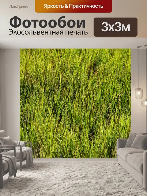 Фотообои Болотная трава