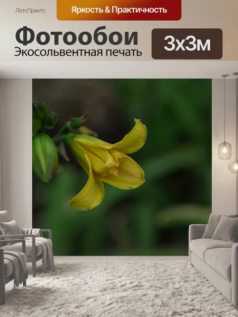 Фотообои Желтая лилия