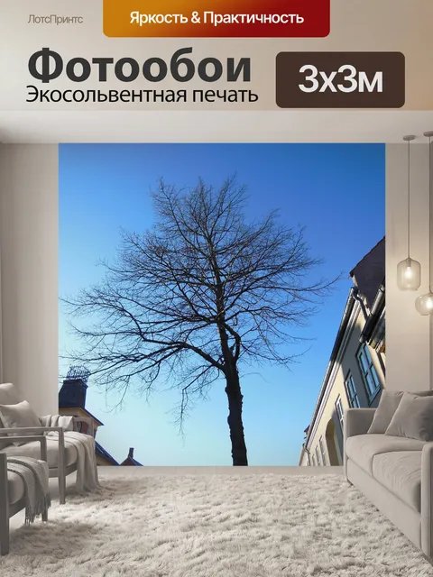 Фотообои Одиночные дерево