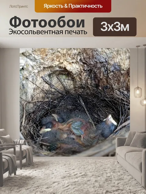 Фотообои Природа